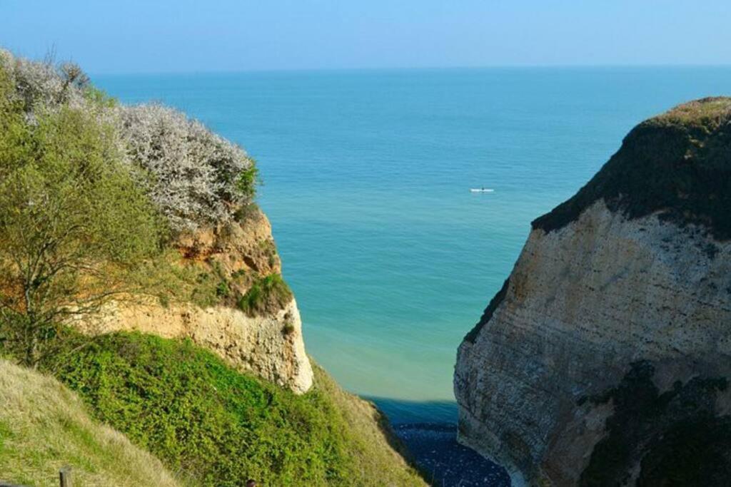 Superbe Propriete Bord De Mer - Le Clos Ricarda Sainte-Marguerite  Exteriör bild